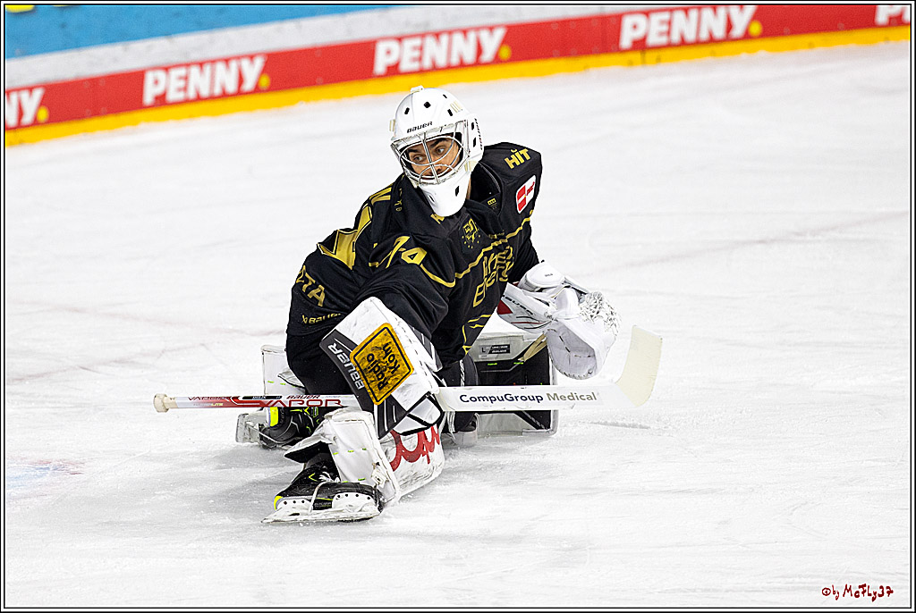 PENNY DEL;  Kölner Haie - ERC Ingolstadt; Köln, 25.11.2022